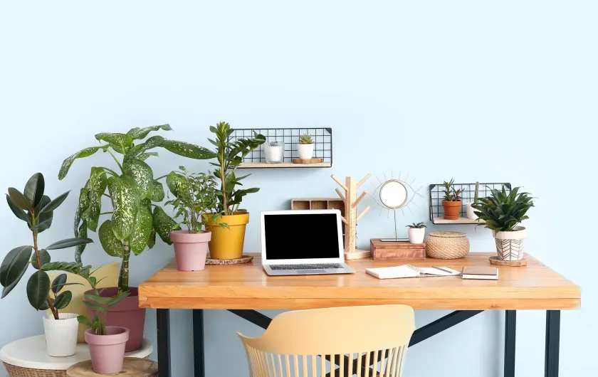 Desk