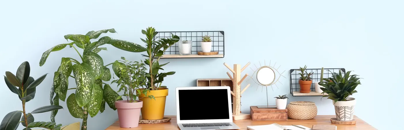 Desk