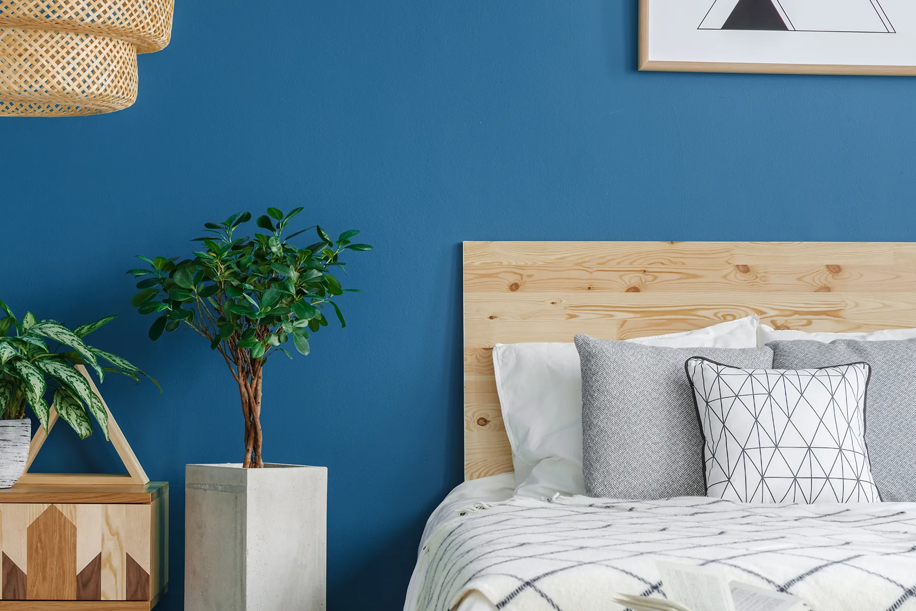 Kontrast Renkler Nedir?